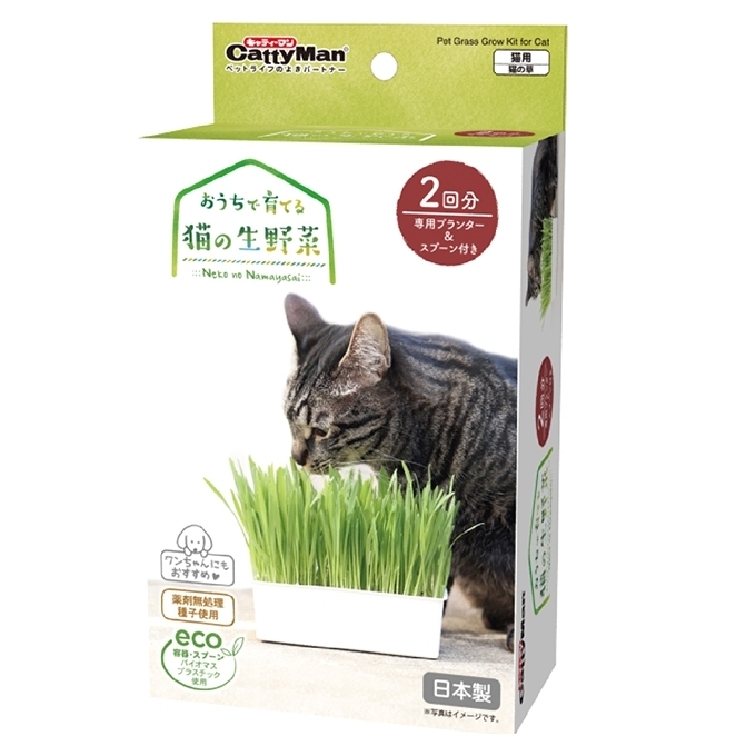 [Cattyman]貓草種子+泥土種植套裝(2份裝)｜日本製