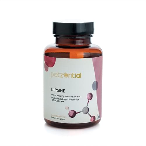 [Petzential]免疫強化｜離氨酸｜L- LYSINE｜500mg｜90粒｜(貓用)