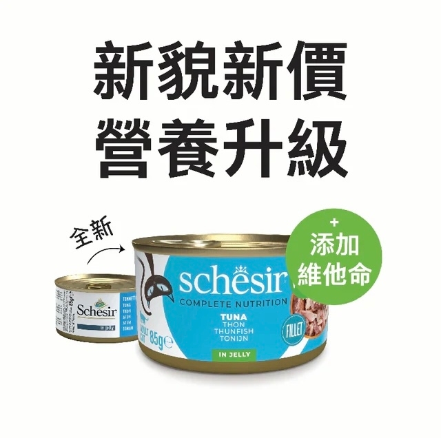 [Schesir-貓罐]啫喱系列｜純吞拿魚｜Tuna in Jelly｜85g｜(肉絲)