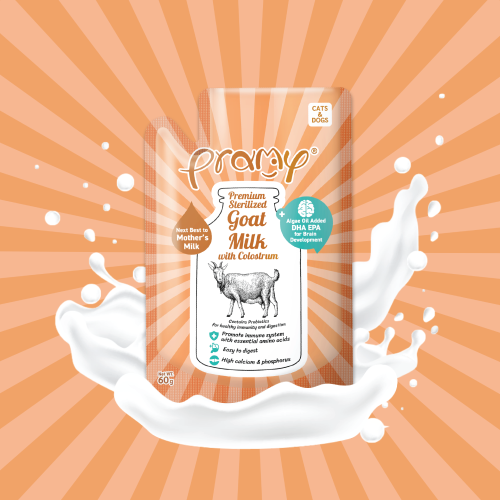 [Pramy]滅菌山羊奶(貓狗)｜ 初乳+海藻油+益生菌｜Goat Milk-Colostrum + Algae Oil｜60g｜(橙色)