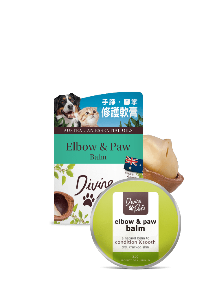 [Divine Pets]手踭+腳掌修護軟膏(貓狗)｜Elbow&Paw Balm｜25g