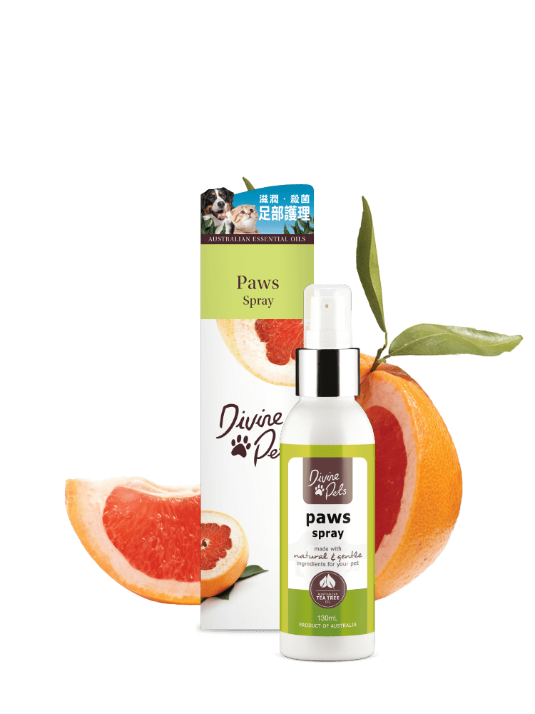 [Divine Pets]草本足部護理(貓狗)｜Paw Spray｜130ml