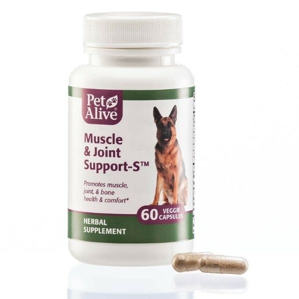 [PetAlive] 保持肌肉和關節的健康｜MUSCLE & JOINT SUPPORT  ｜60 caps(代訂)