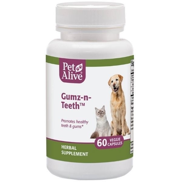 [PetAlive] 促進牙齒及口腔健康｜GUMZ-N-TEETH｜60 粒(代訂)