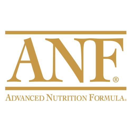 ANF (韓國)