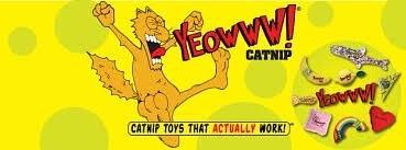 Yeowww!